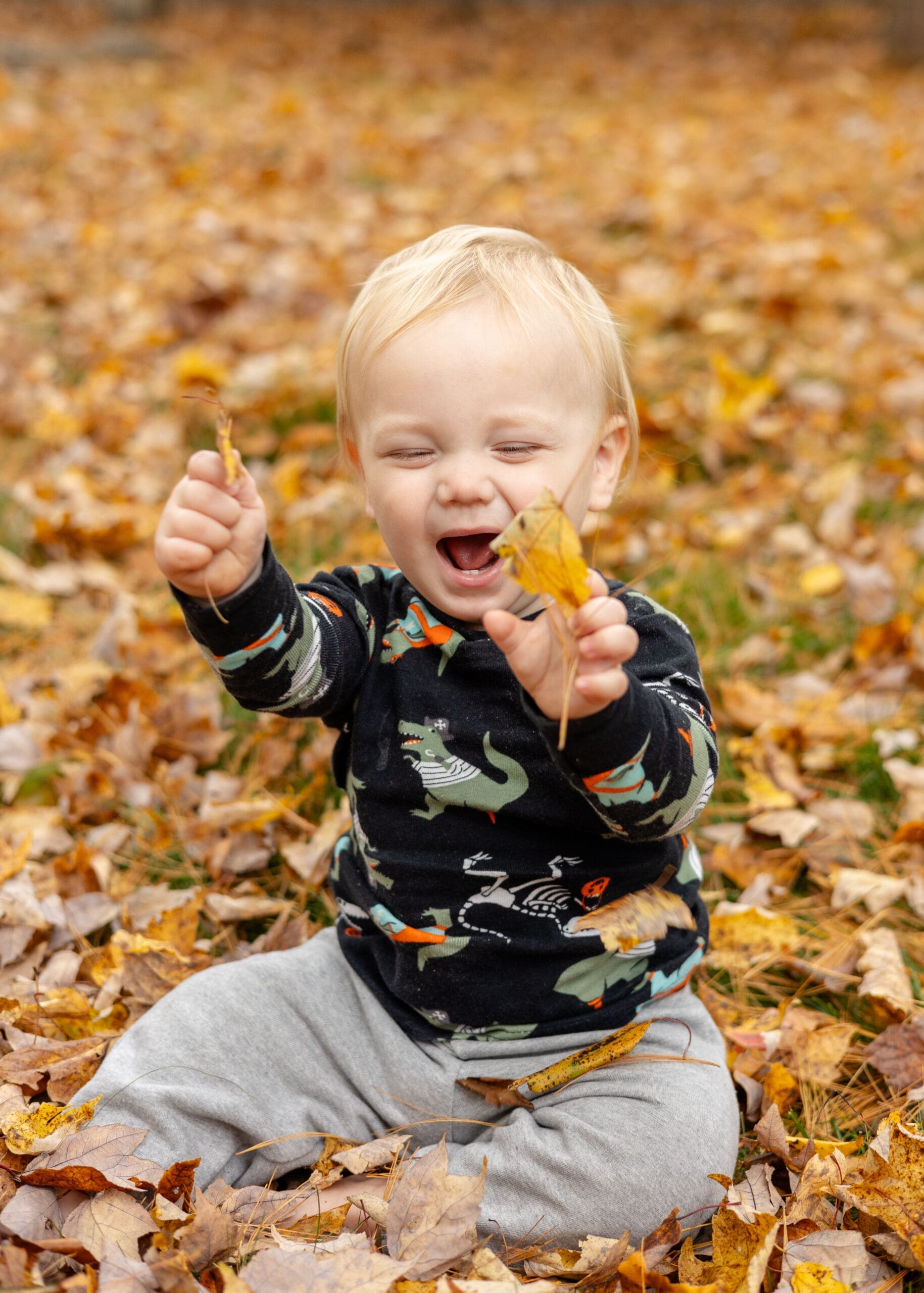 Photo of child playing in the fall leaves taken by Asheville Family Photographer